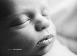 newborn-photographer-windsor