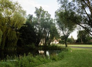 Holyport Pond
