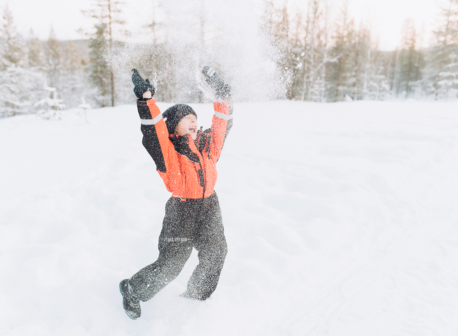 snowball fight in Lapland
